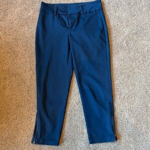 Tinsel Blue Crop Pants with Cuff Zippers
